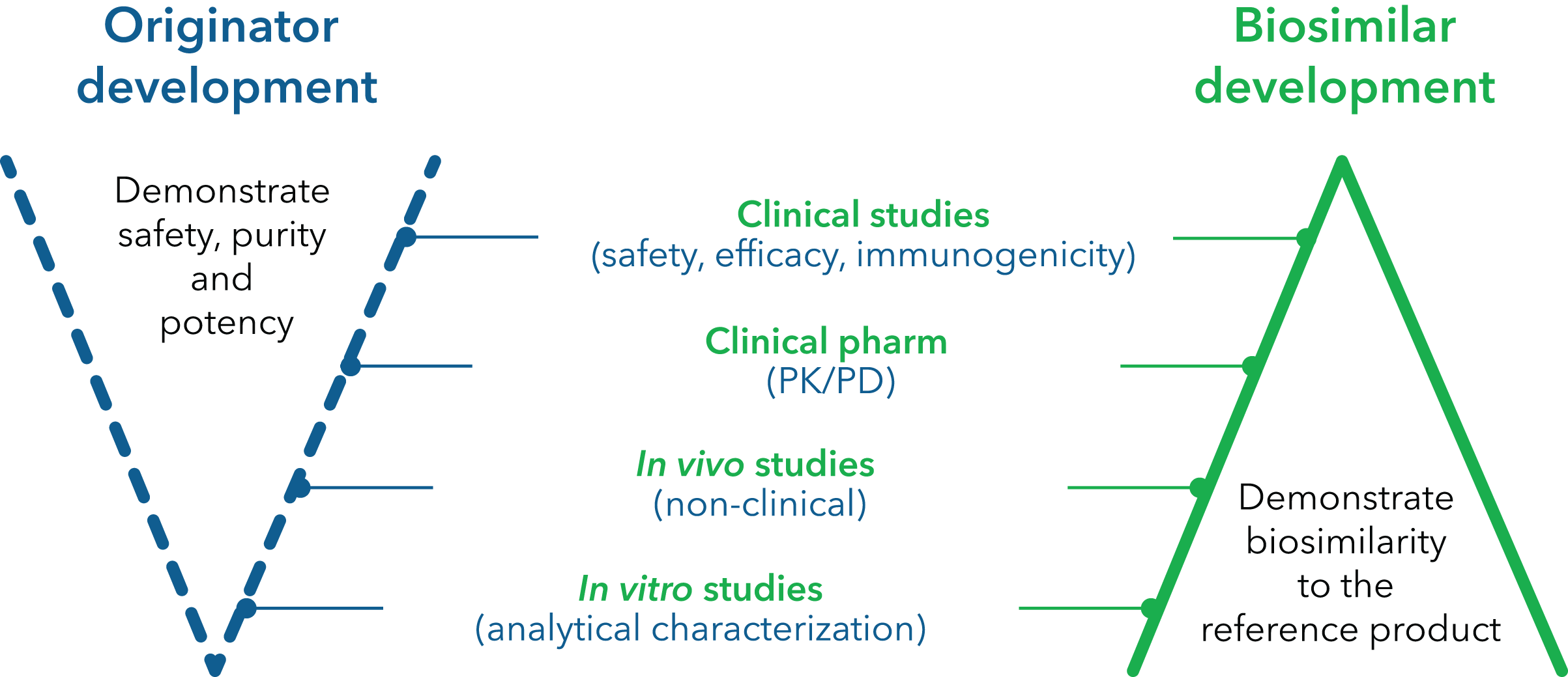 Originator development, demonstrate safety, purity and potency clinical studies (safety, efficacy, immunogenicity) (PK/PD) In vido studies (non-clinical) in vitro studies (analytical characterization) Biosimilar develoment - demonstrate biosimilarit to the reference product.